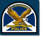 St. Pete police website